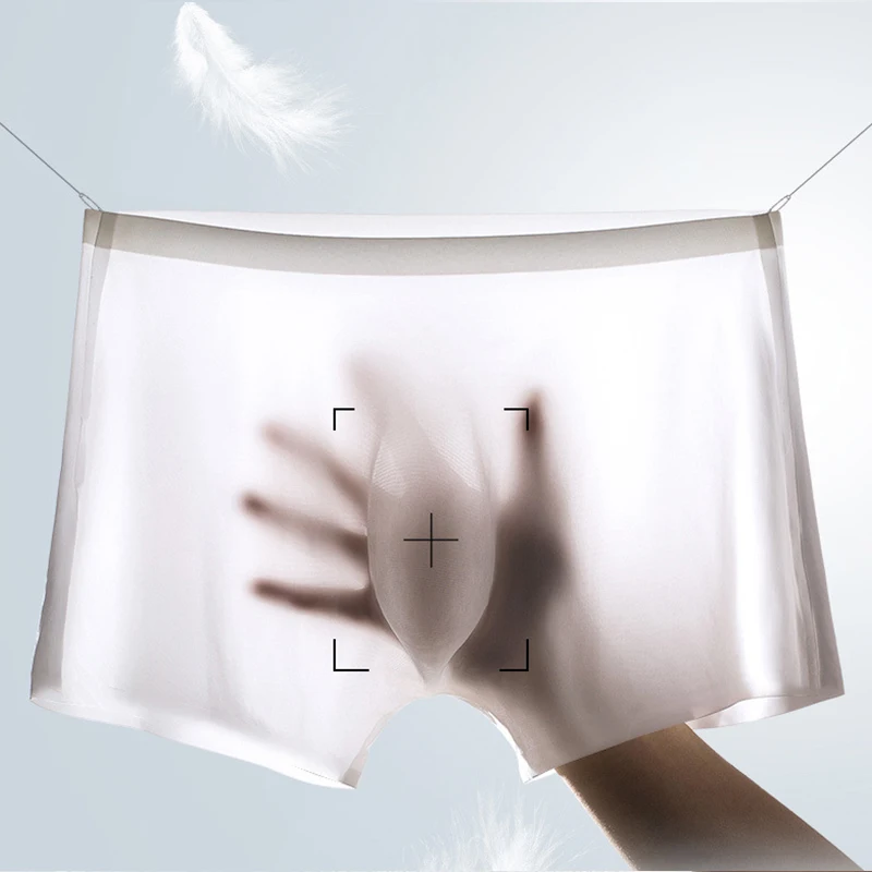 10 Teile/los Männer Sommer Eis – Boxer Shorts Modal Bewertung und Preis